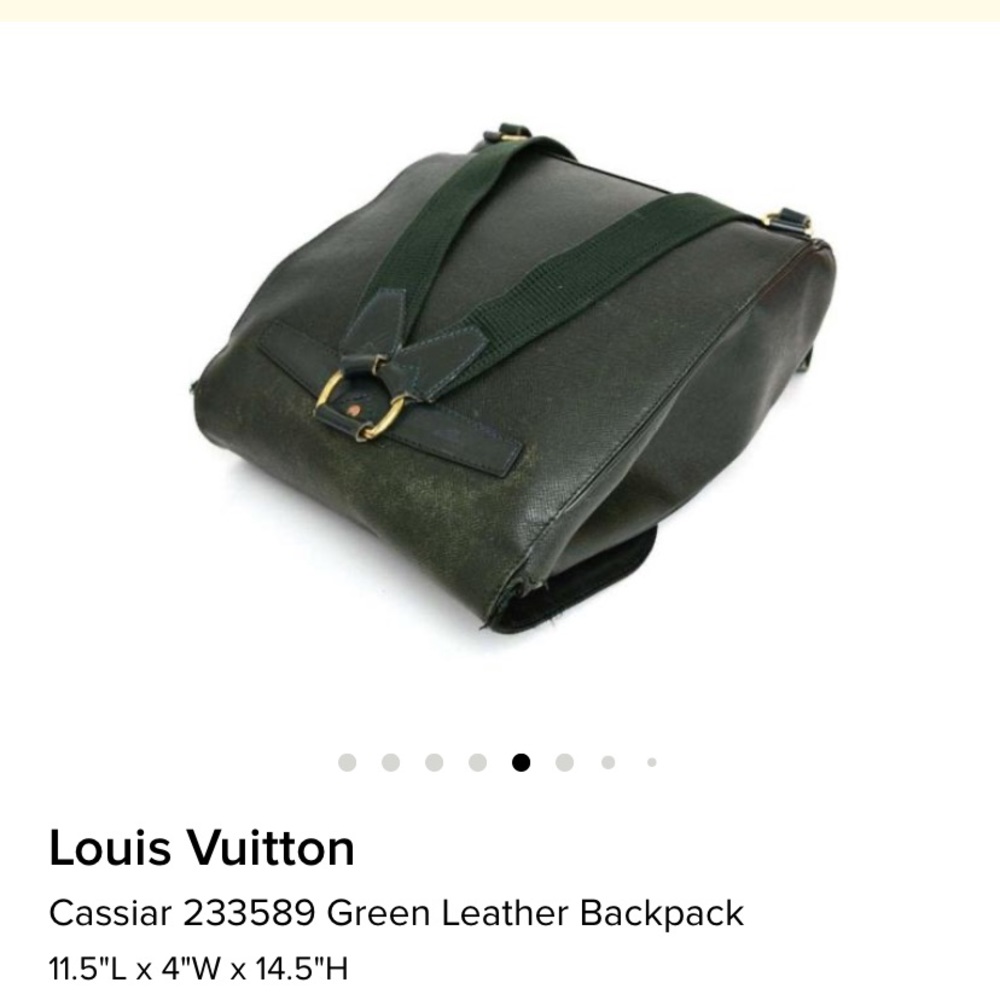 Louis Vuitton Cassiar 233589 Leather Backpack - Picture 6 of 14
